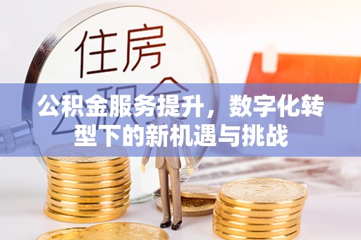 越城公积金服务提升，数字化转型下的新机遇与挑战