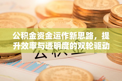 越城公积金资金运作新思路，提升效率与透明度的双轮驱动