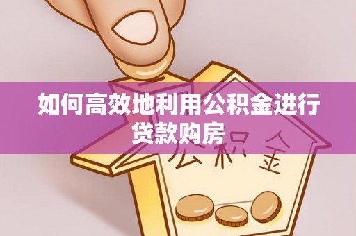 越城如何高效地利用公积金进行贷款购房
